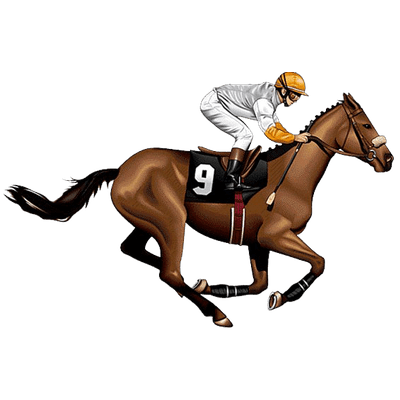 Online Horse Racing Bets